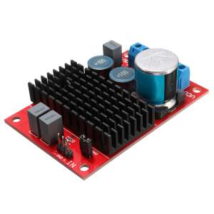 DC 12V-24V 100W BTL Out TPA3116 Mono Channel Digital Power Audio Amplifier Board